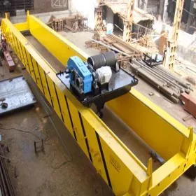 Double girder E.O.T. Crane Manufacturer in india